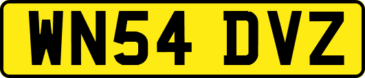 WN54DVZ