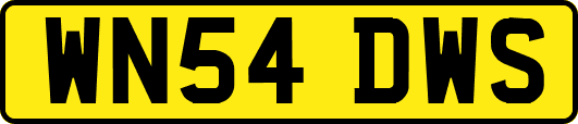 WN54DWS