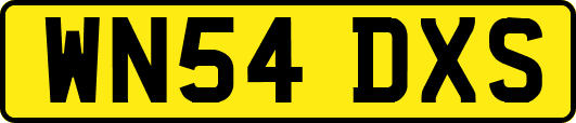WN54DXS