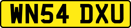 WN54DXU