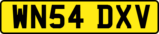 WN54DXV