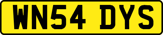 WN54DYS