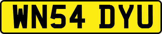 WN54DYU
