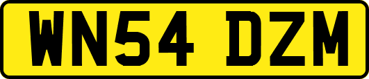 WN54DZM