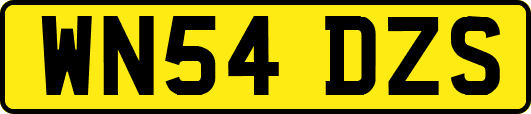 WN54DZS