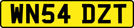 WN54DZT