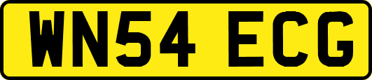 WN54ECG