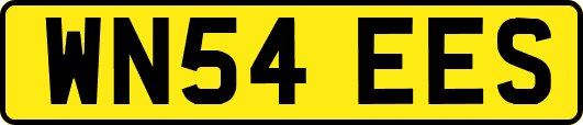 WN54EES
