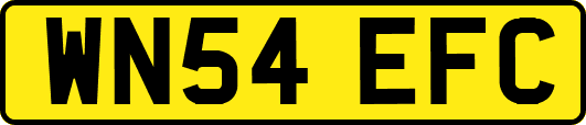 WN54EFC
