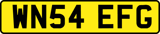WN54EFG