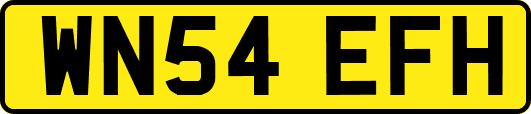 WN54EFH