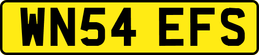 WN54EFS