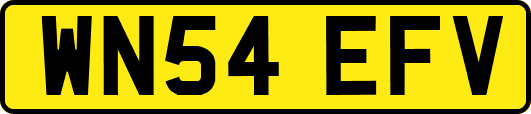 WN54EFV