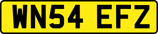 WN54EFZ