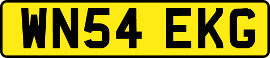 WN54EKG