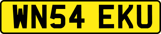 WN54EKU