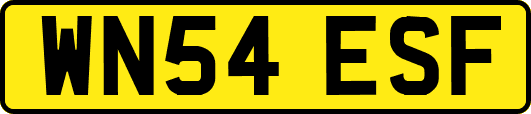 WN54ESF