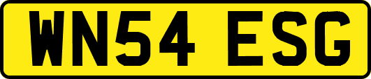 WN54ESG