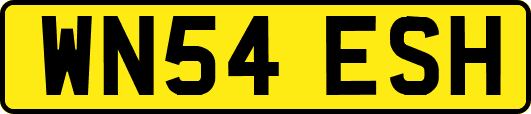 WN54ESH