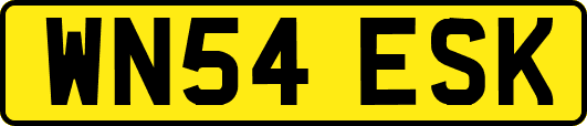 WN54ESK