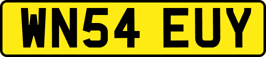WN54EUY
