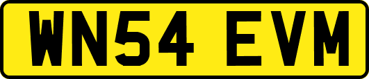 WN54EVM