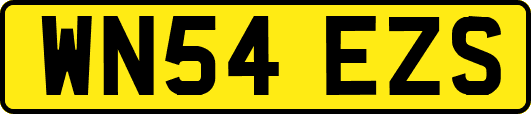 WN54EZS