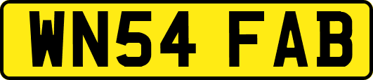 WN54FAB