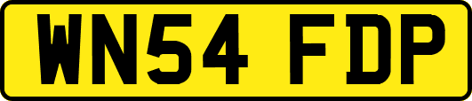 WN54FDP
