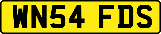 WN54FDS