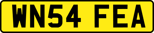 WN54FEA