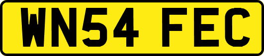 WN54FEC