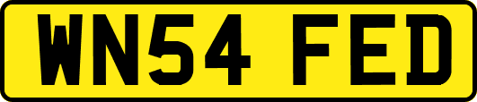 WN54FED