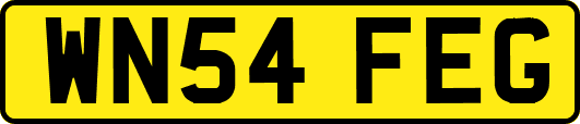 WN54FEG