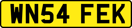 WN54FEK