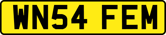 WN54FEM