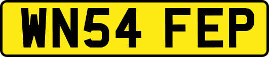 WN54FEP