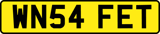 WN54FET