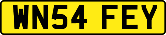 WN54FEY