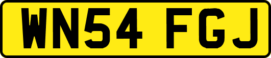 WN54FGJ