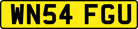WN54FGU