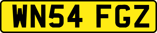 WN54FGZ