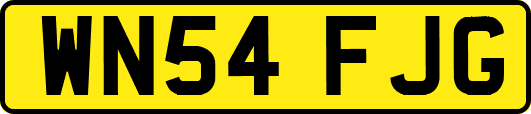WN54FJG