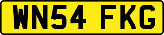 WN54FKG