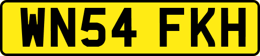 WN54FKH