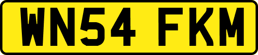 WN54FKM