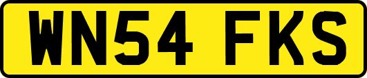 WN54FKS