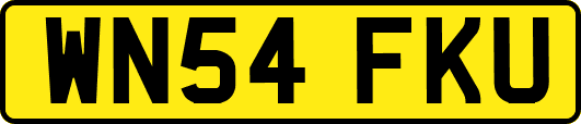 WN54FKU