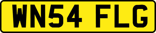 WN54FLG