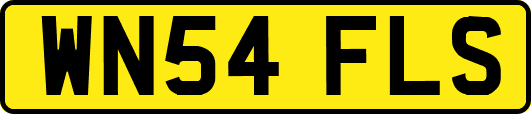 WN54FLS